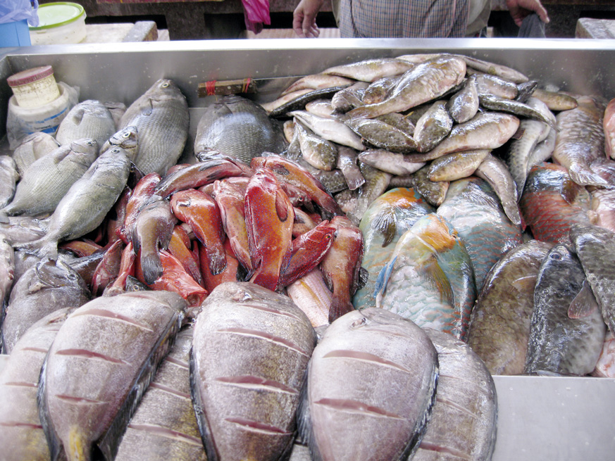 Fernweh_IMG_0127_web