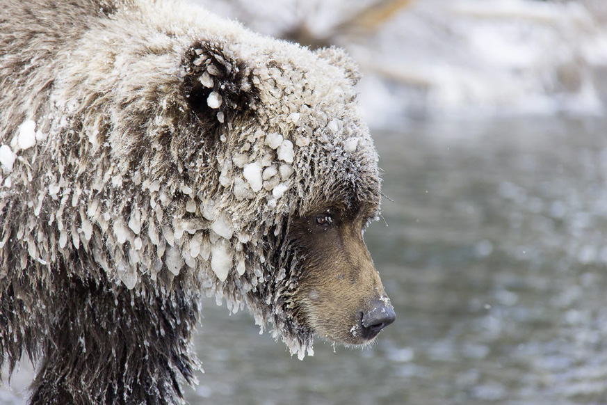 Fernweh_MMR_2012-10-24_1624-Bearbeitet-Bearbeitet_web