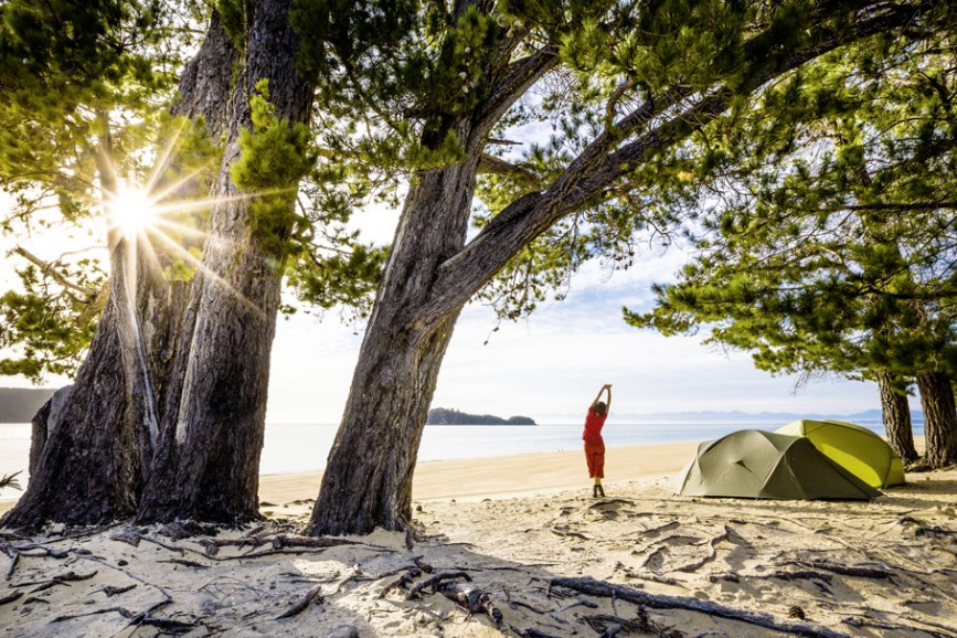Der schönste Zeltplatz: Die Apple Tree Bay im Abel Tasman Nationalpark