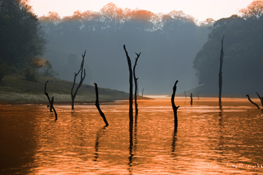 lake, Periyar National Park, Kerala, India