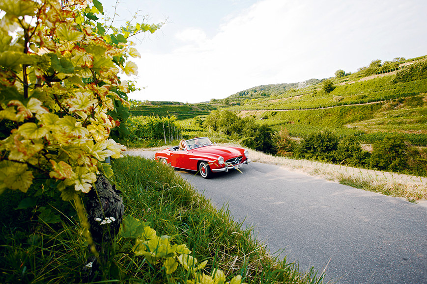 badische-weinstrasse-2